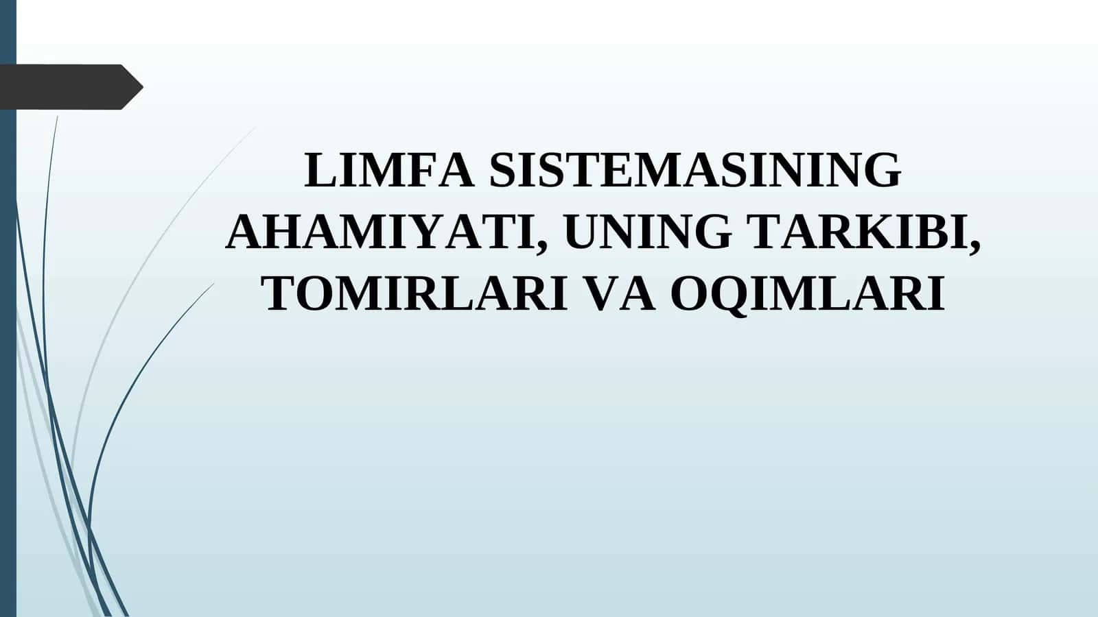 Limfa sistemasi: organizmning muhim qismi