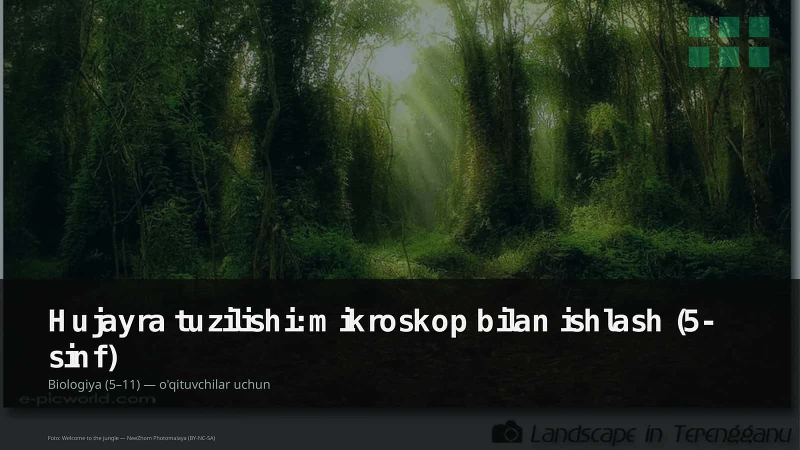 Hujayra tuzilishi: mikroskop bilan ishlash (5-sinf)