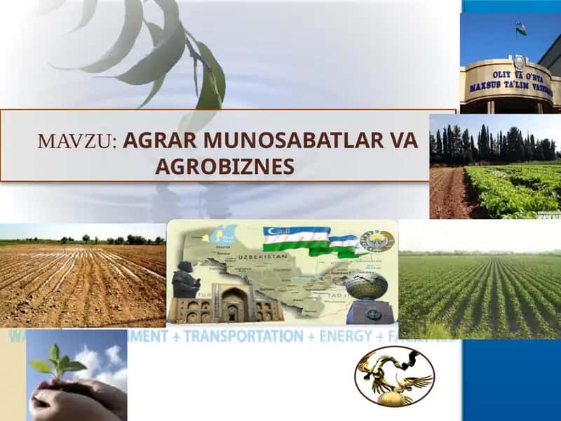 AGRAR MUNOSABATLAR VA AGROBIZNЕS