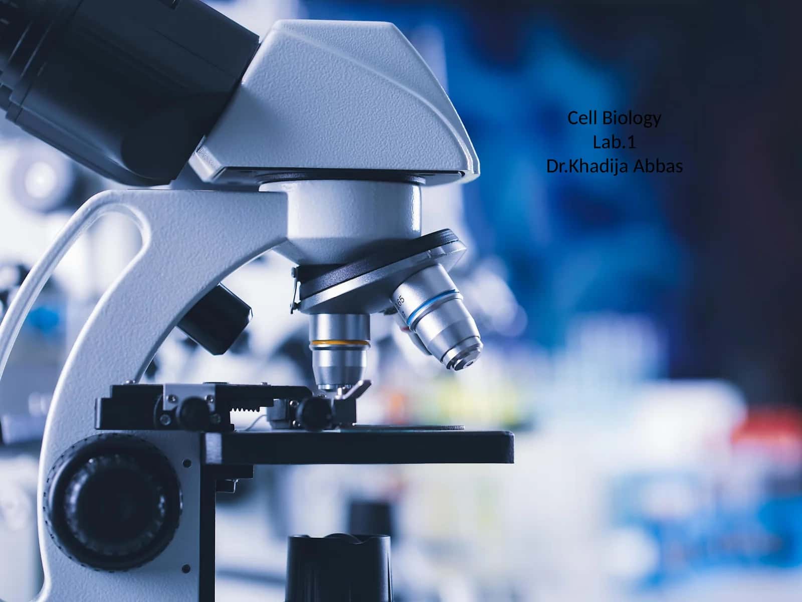 Microscope Invention