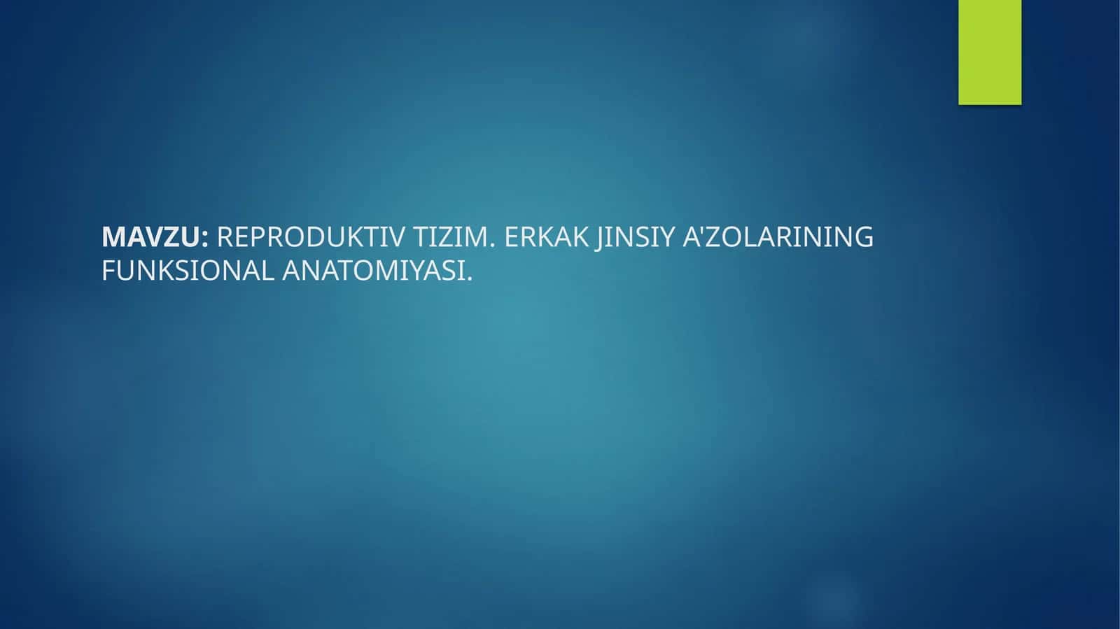 Reproduktiv tizim. Erkak jinsiya'zolarining funksional anatomiyasi