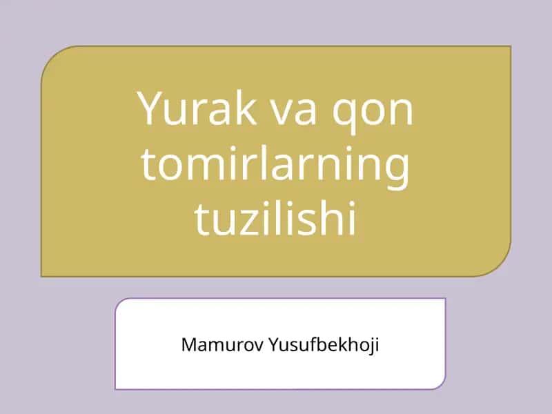 Yurak va qon tomirlarning tuzilishi