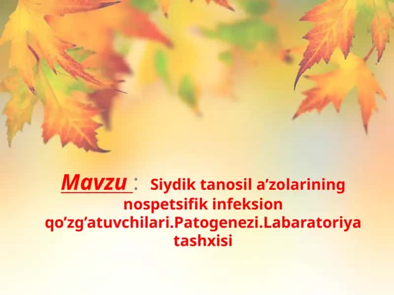Siydik tanosil a’zolarining nospetsifik infeksion qo’zg’atuvchilari.