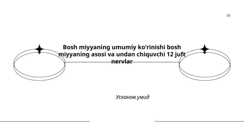 Bosh miyyaning umumiy koʻrinishi va asosiy bo‘linmalari