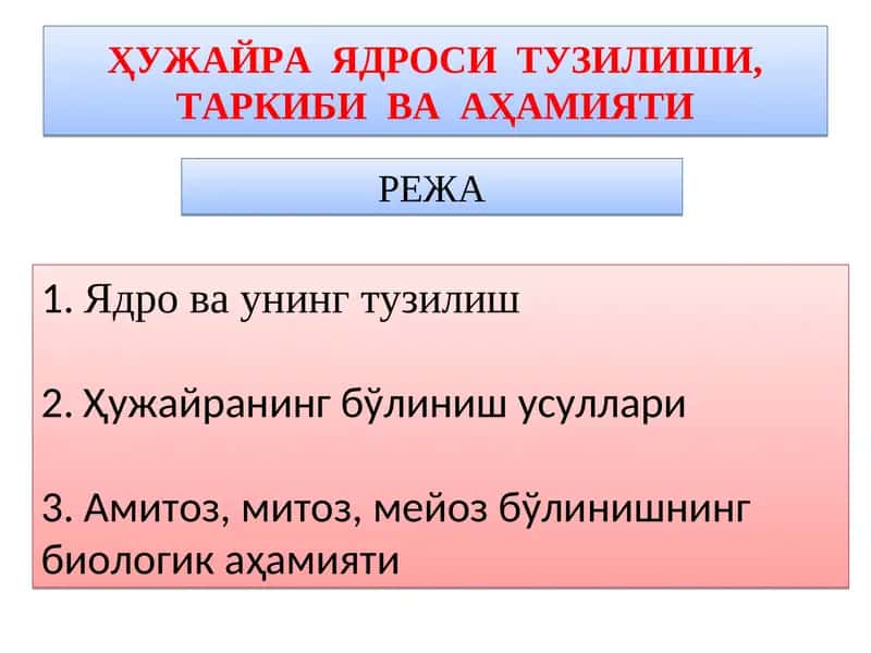 Ядро ва унинг тузилиши