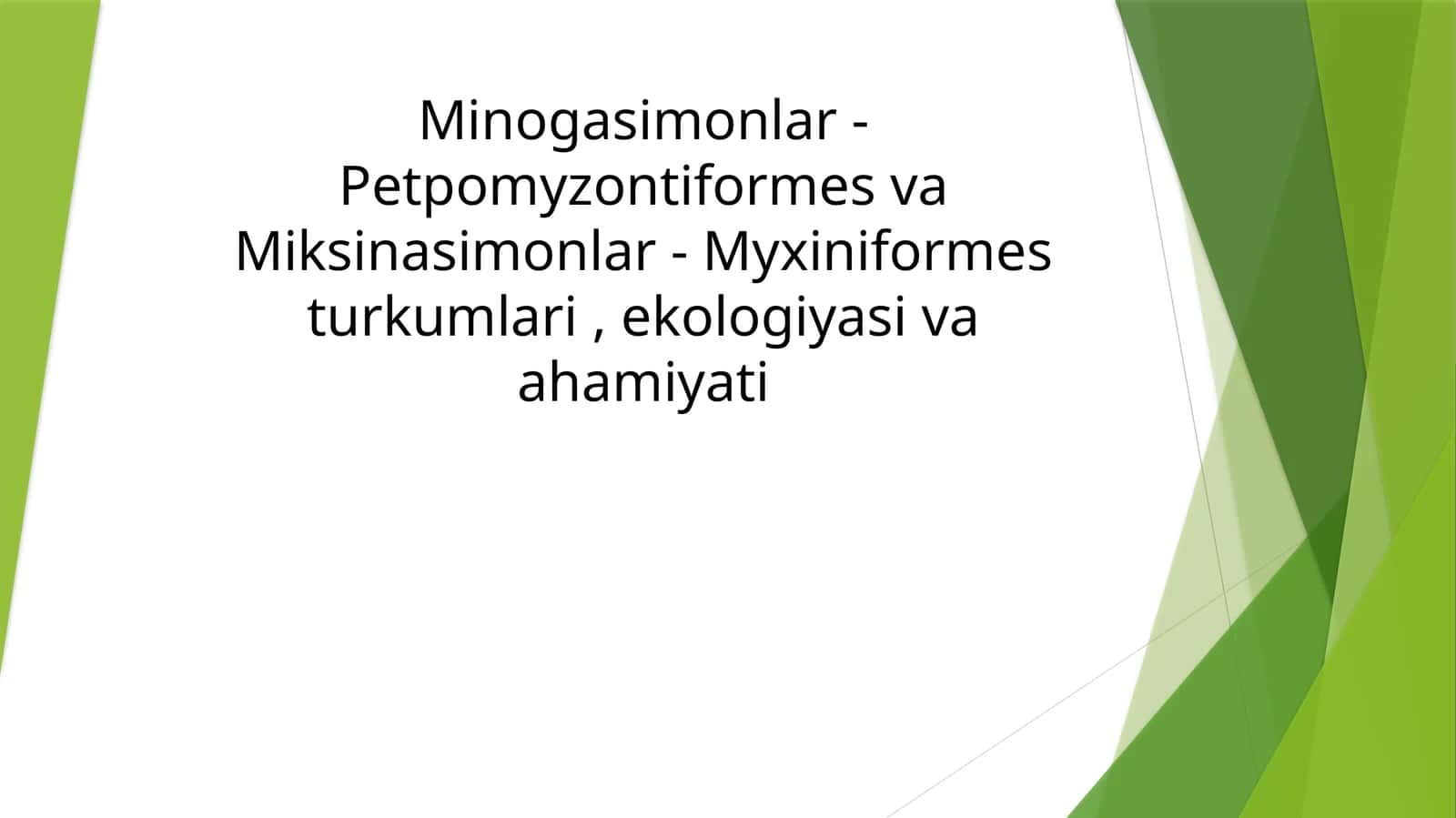Minogasimonlar - Petpomyzontiformes va Miksinasimonlar - Myxiniformes turkumlari, ekologiyasi va ahmiyati