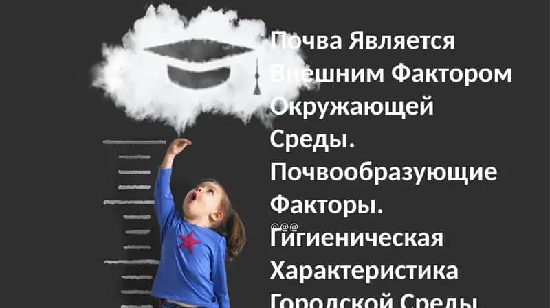 Почва Является Внешним Фактором Окружающей Среды