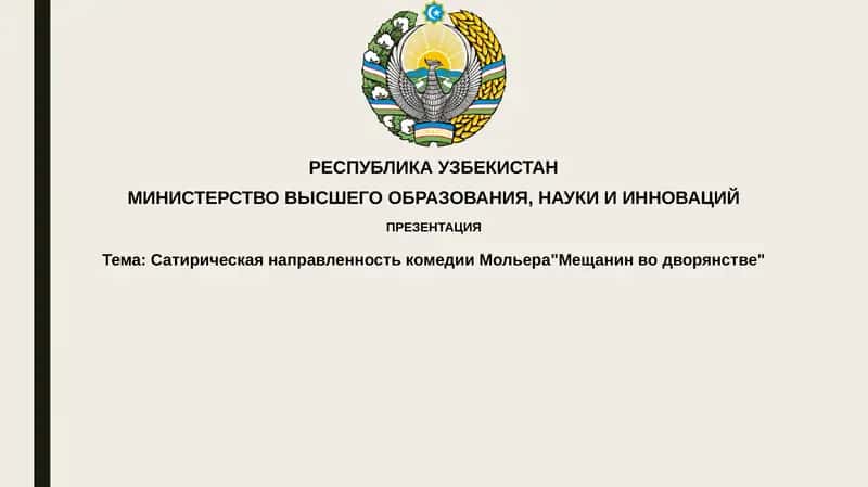 Мещанин во дворянстве