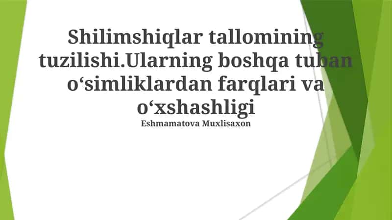 Shilimshiqlar Tallomi Tuzuilishi