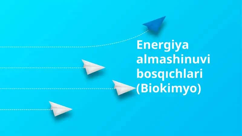 Energiya almashinuvi bosqıchlari
