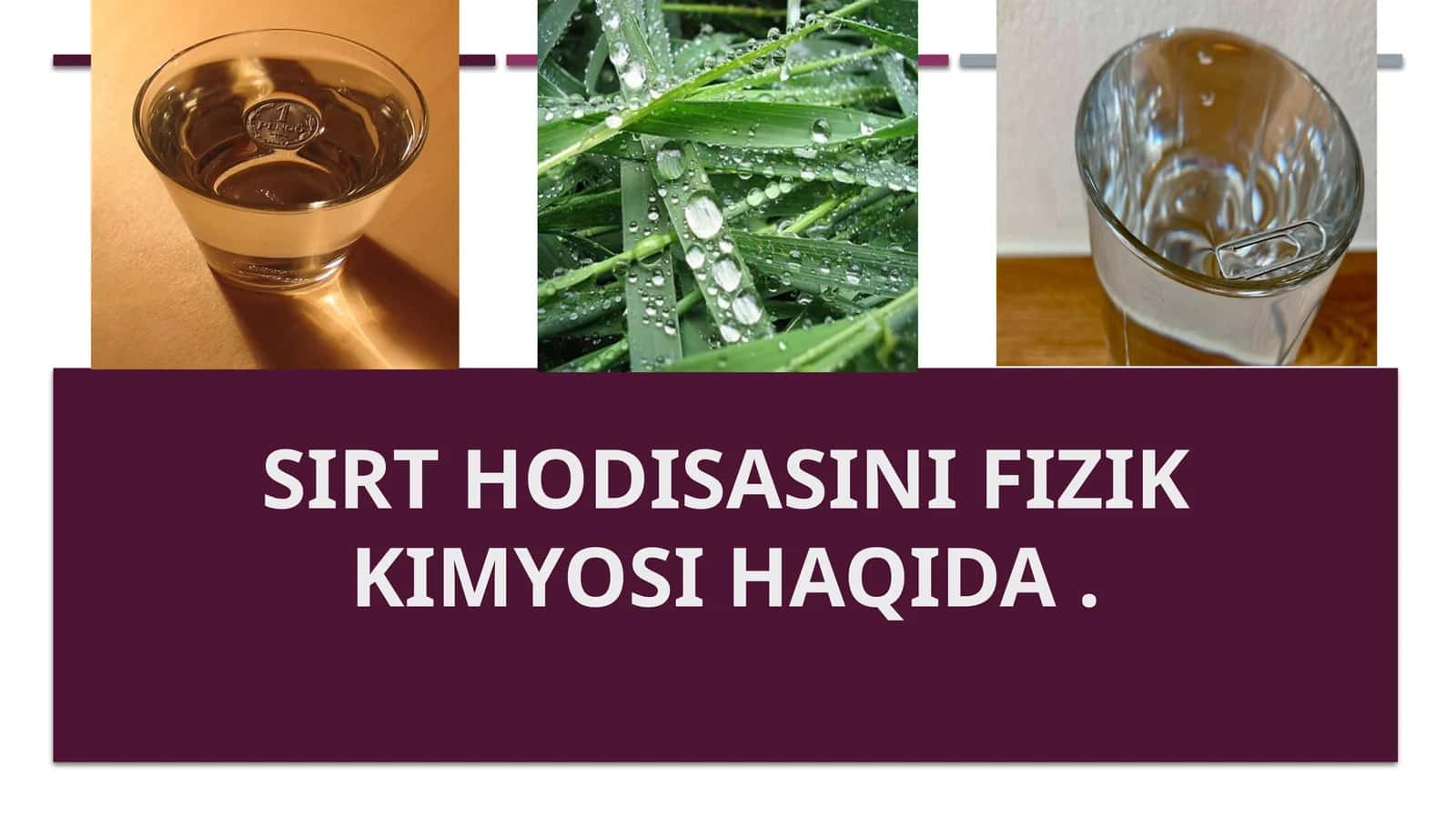 Sirt hodisasini fizik kimyosi haqida