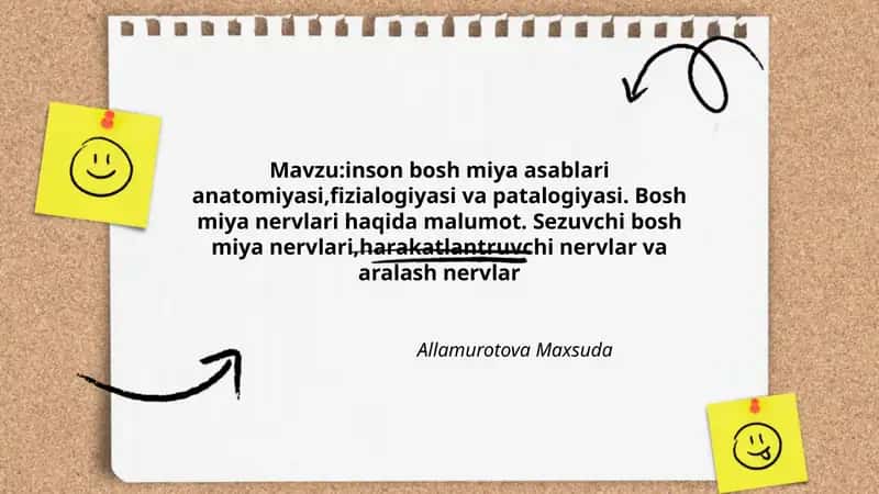 Inson bosh miya asablari anatomiyasi, fizialogiyasi va patalogiyasi