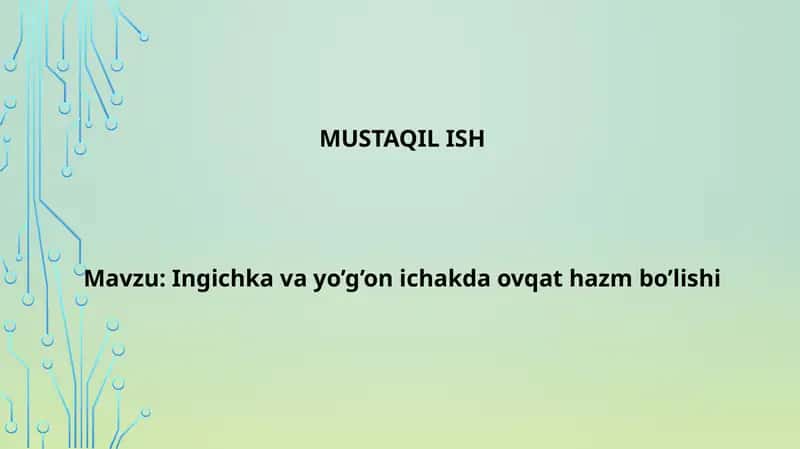 ingichka va yoʻgʻon ichakda ovqat hazm boʻlishi