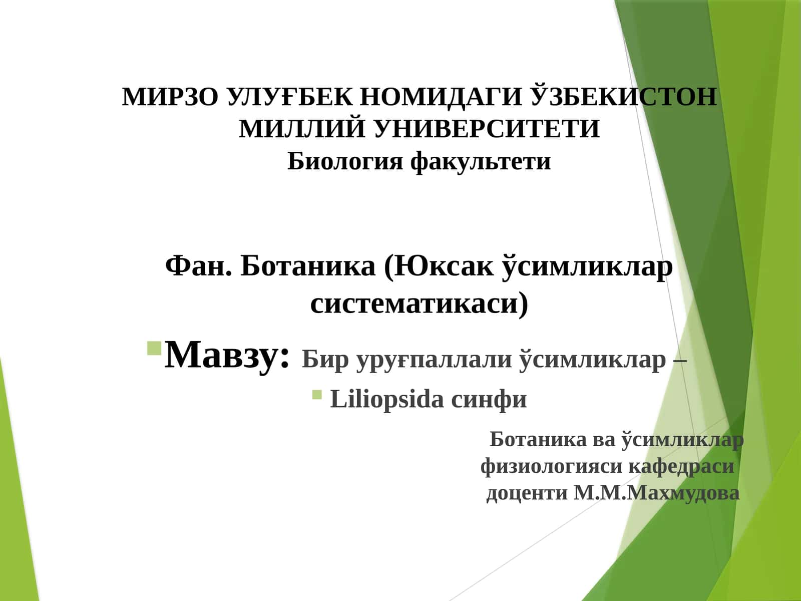Бируруғпаллалиўсимликлар – Liliopsida синфи