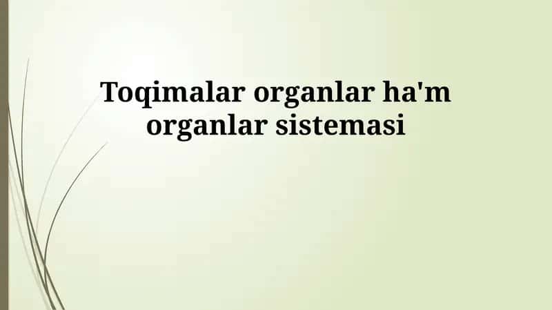 Toqimalar organlar ha'm organlar sistemasi