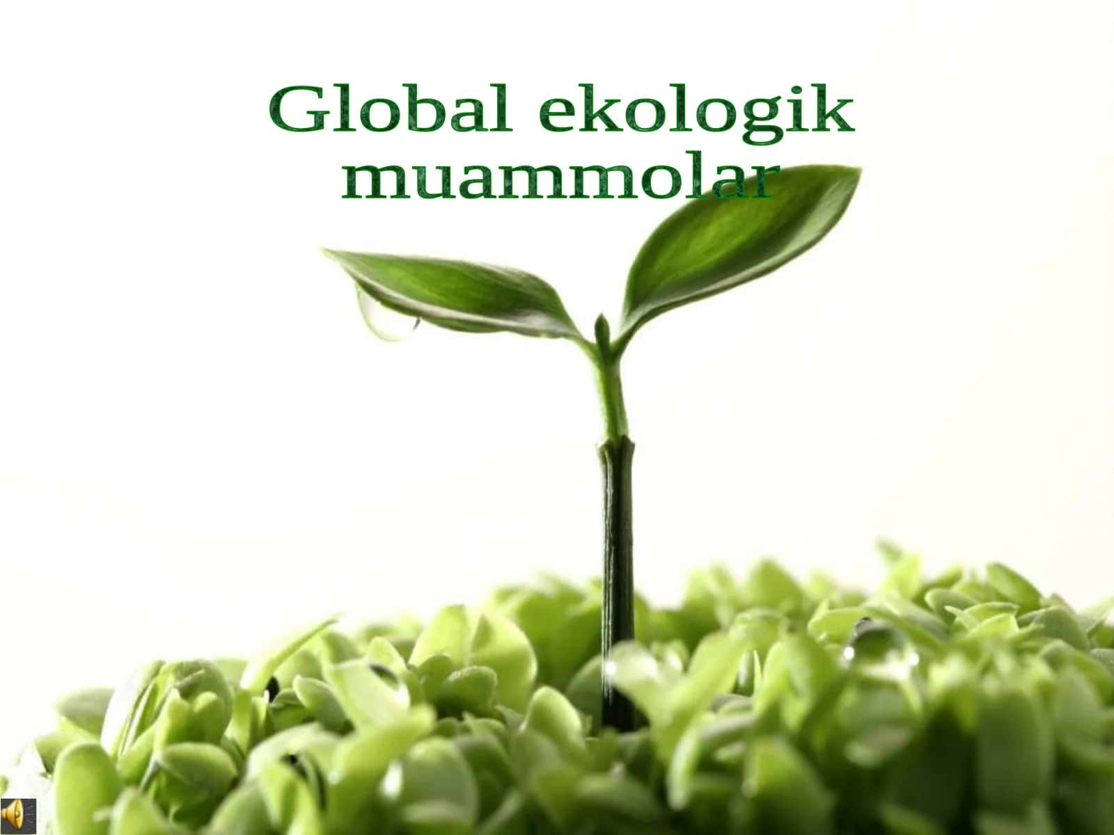 Global Ekologik Muammolar