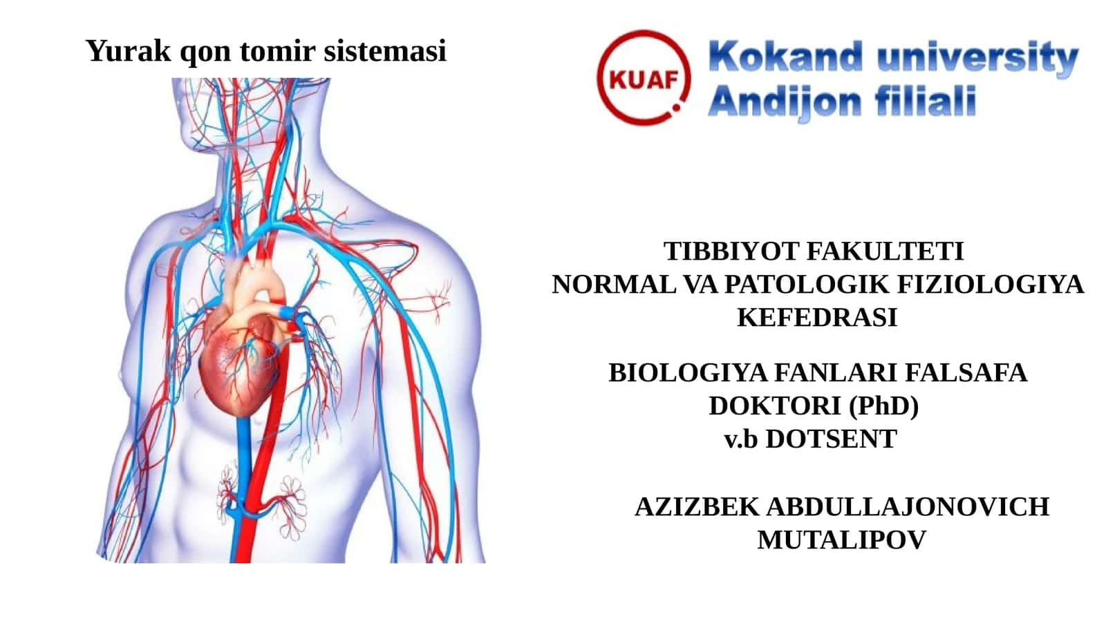 Yurakqontomirsistemasi