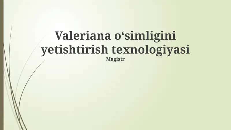 Valeriana oʻsimligini yetishtirish texnologiyasi