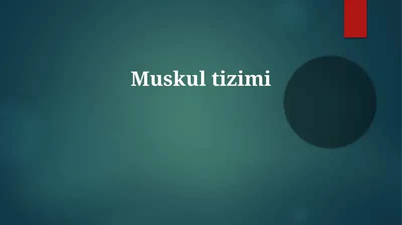 Muskultizimi