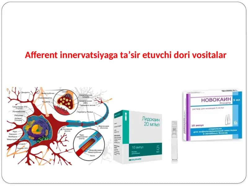 Afferent innervatsiyaga taʼsir etuvchi dori vositalar