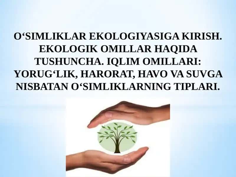 O‘simliklar Ekologiyasiga Kirish