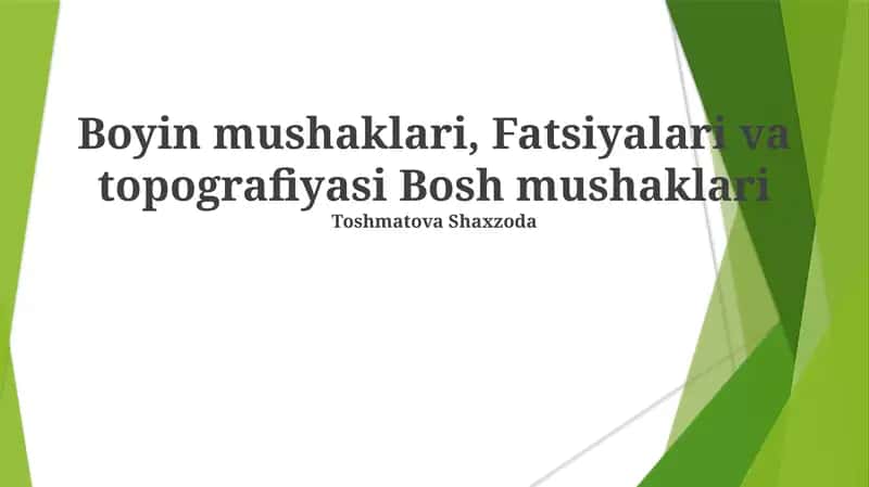 Boyin mushaklari, Fatsiyalari va topografiyasi Bosh mushaklari