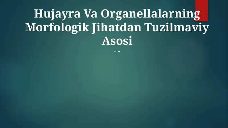 Hujayra Va Organellalarning Morfologik Jihatdan Tuzilmaviy Asosi