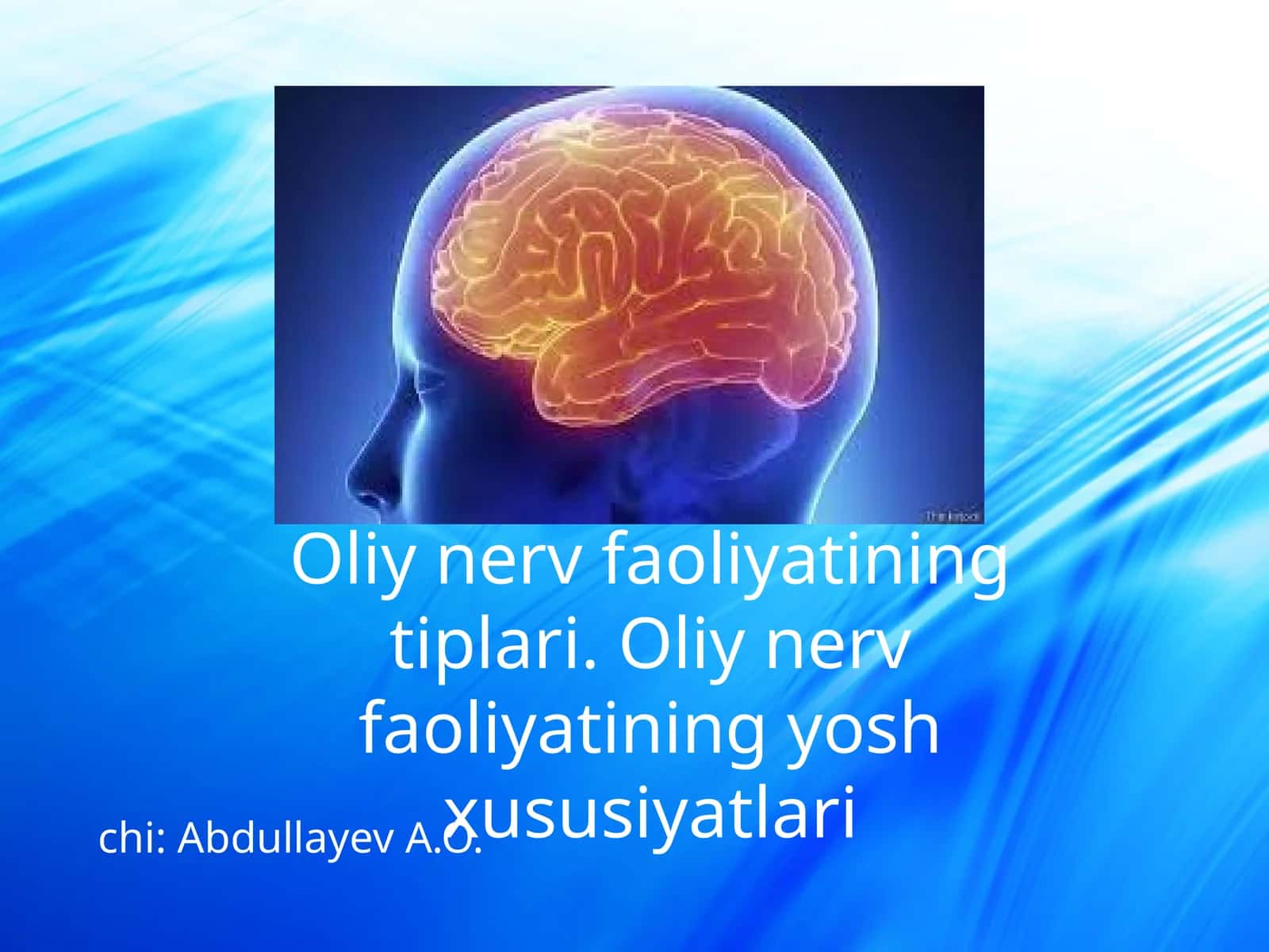 Oliy nerv faoliyatining tiplari. Oliy nerv faoliyatining yosh xususiyatlari
