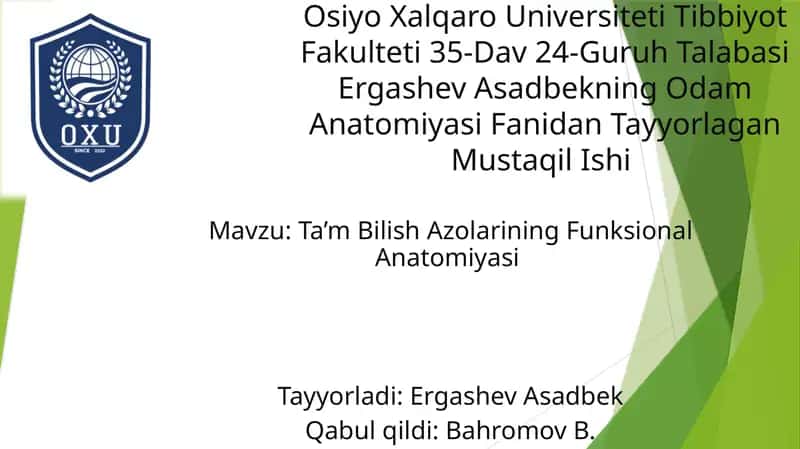 Ta’m Bilish Azolarining Funksional Anatomiyasi