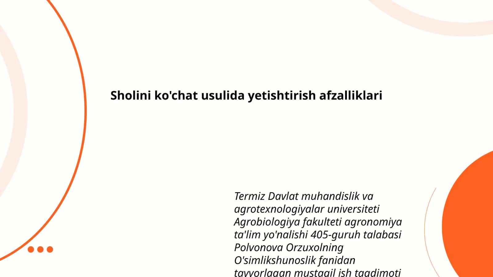 Sholini ko'chat usulida yetishtirish afzalliklari