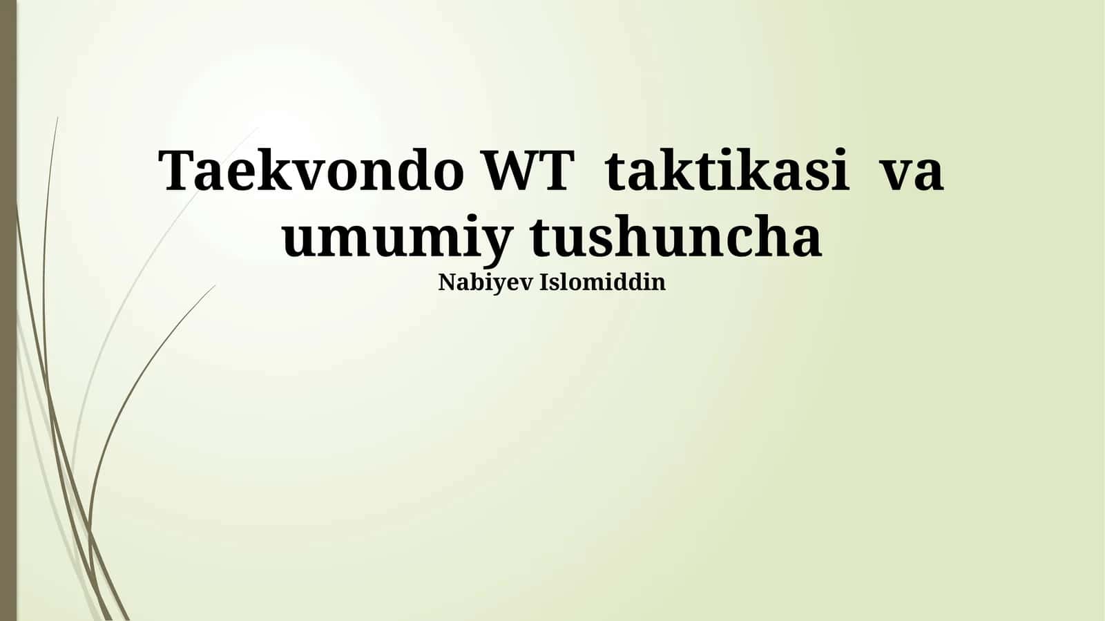 Taekvondo WT taktikasi va umumiy tushuncha