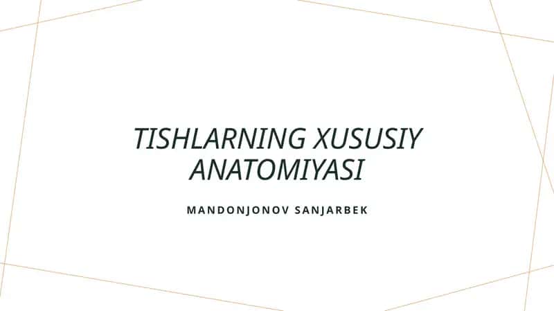 Tishlarning xususiy anatomiyasi