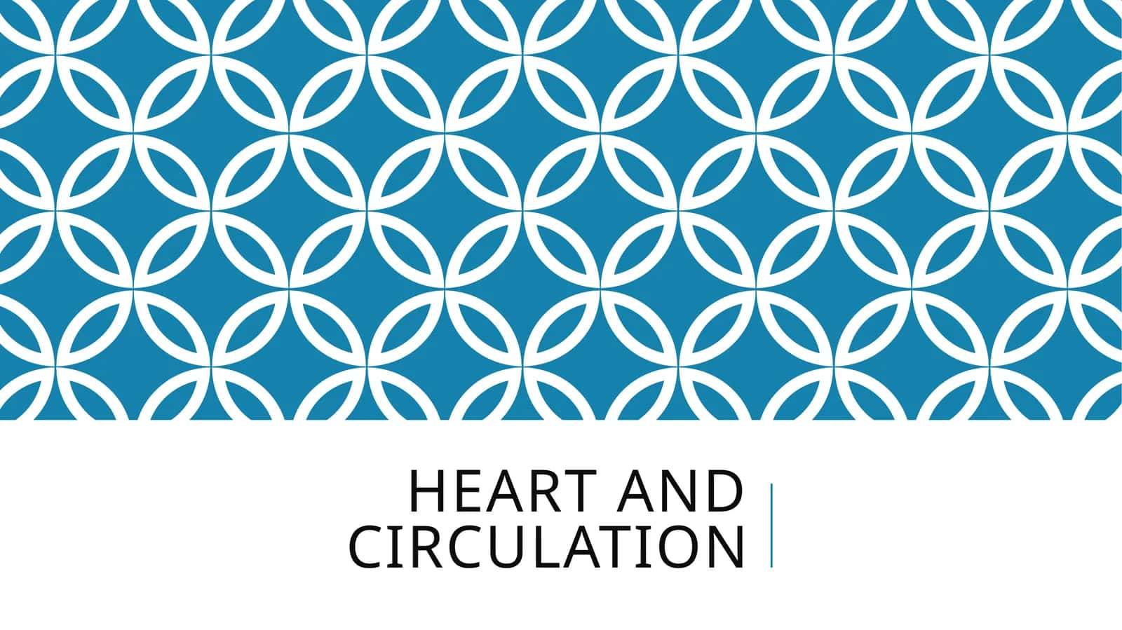 Heart and circulation