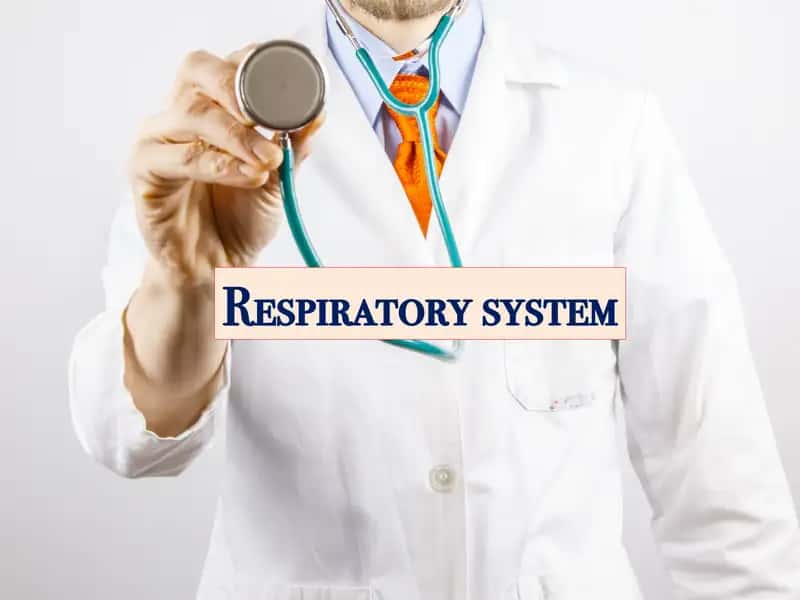 Respiratory system
