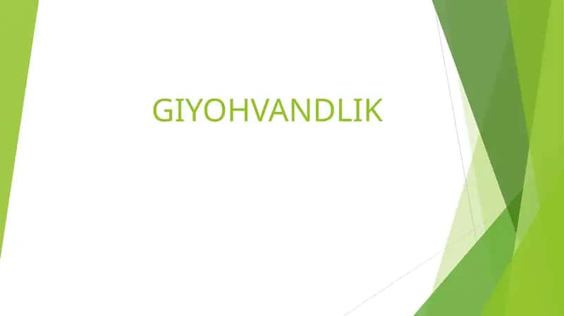 GIYOHVANDLIK