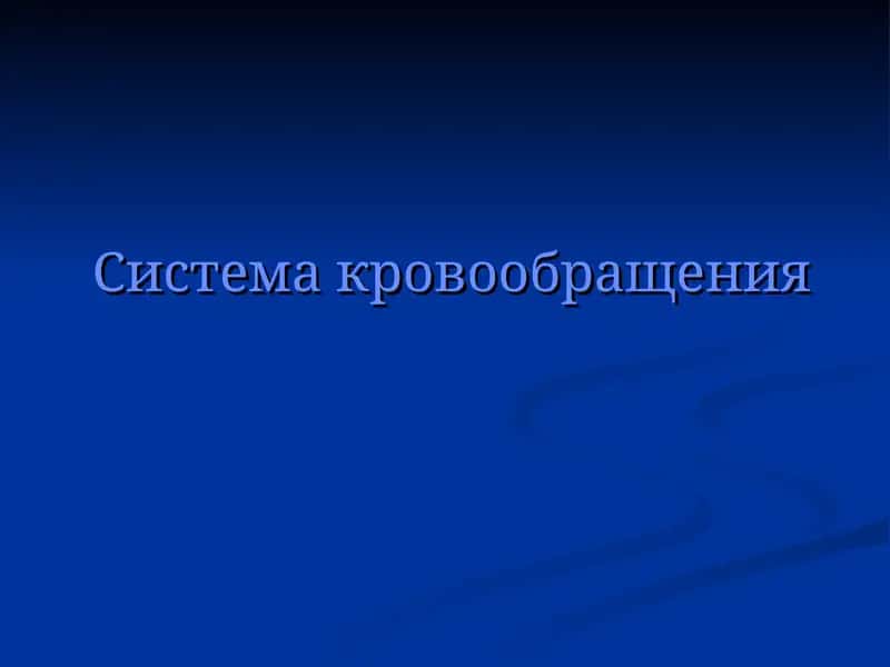 Система кровообращения