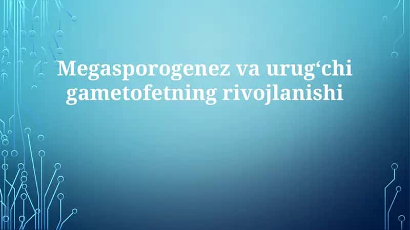 Megasporogenez va urugʻchigametofetning rivojlanishi