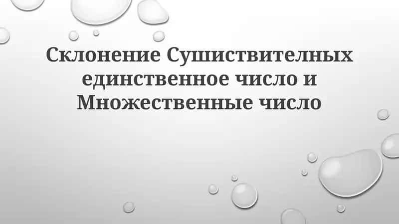 СклонениеСушиствителныхединственноечислоиМножественныечисло