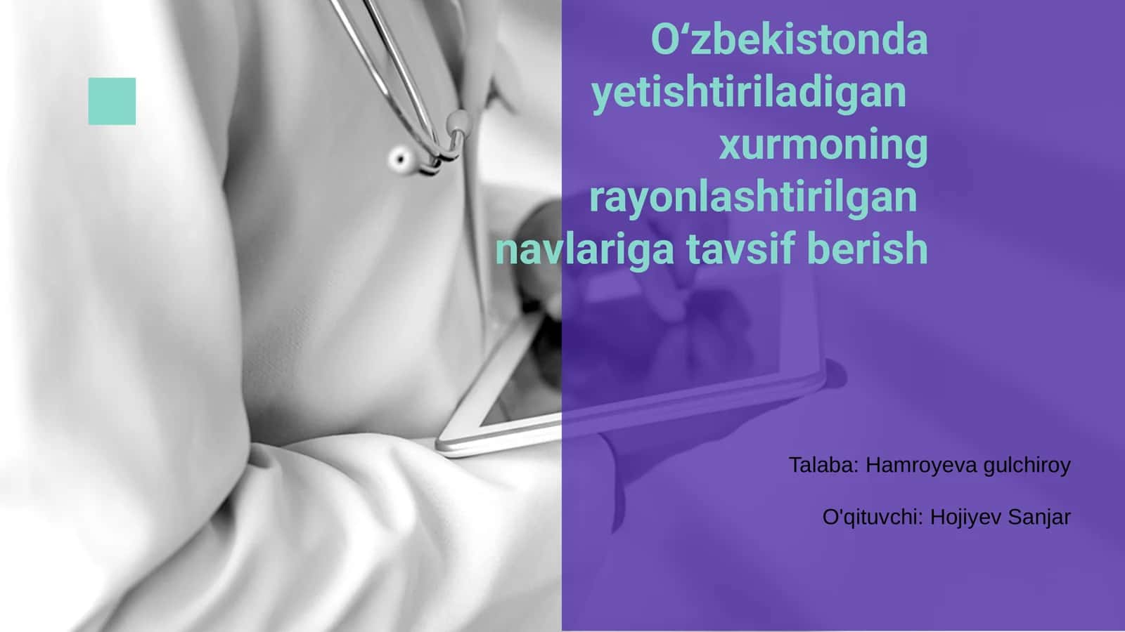 Oʻzbekistonda yetishtiriladigan xurmoning rayonlashtirilgan navlariga tavsif berish