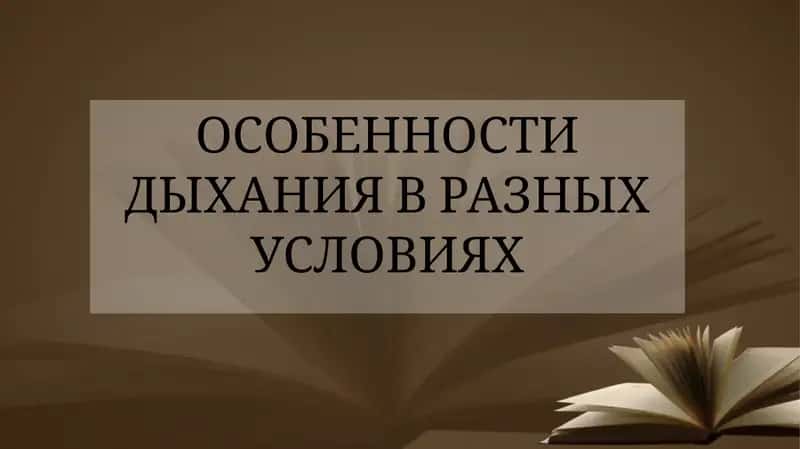 Особенности дыхания в разных условиях