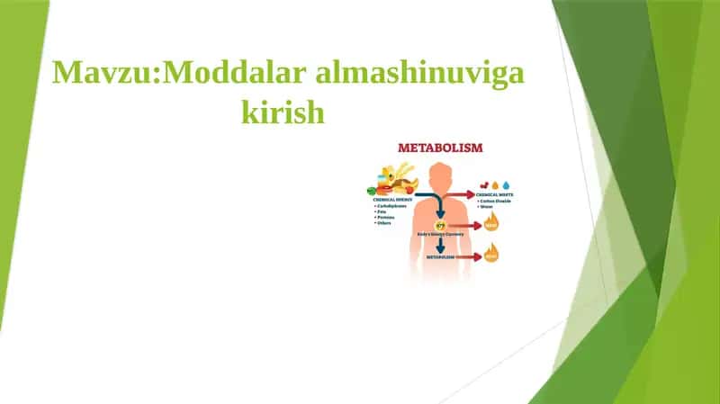 Moddalar almashinuviga kirish