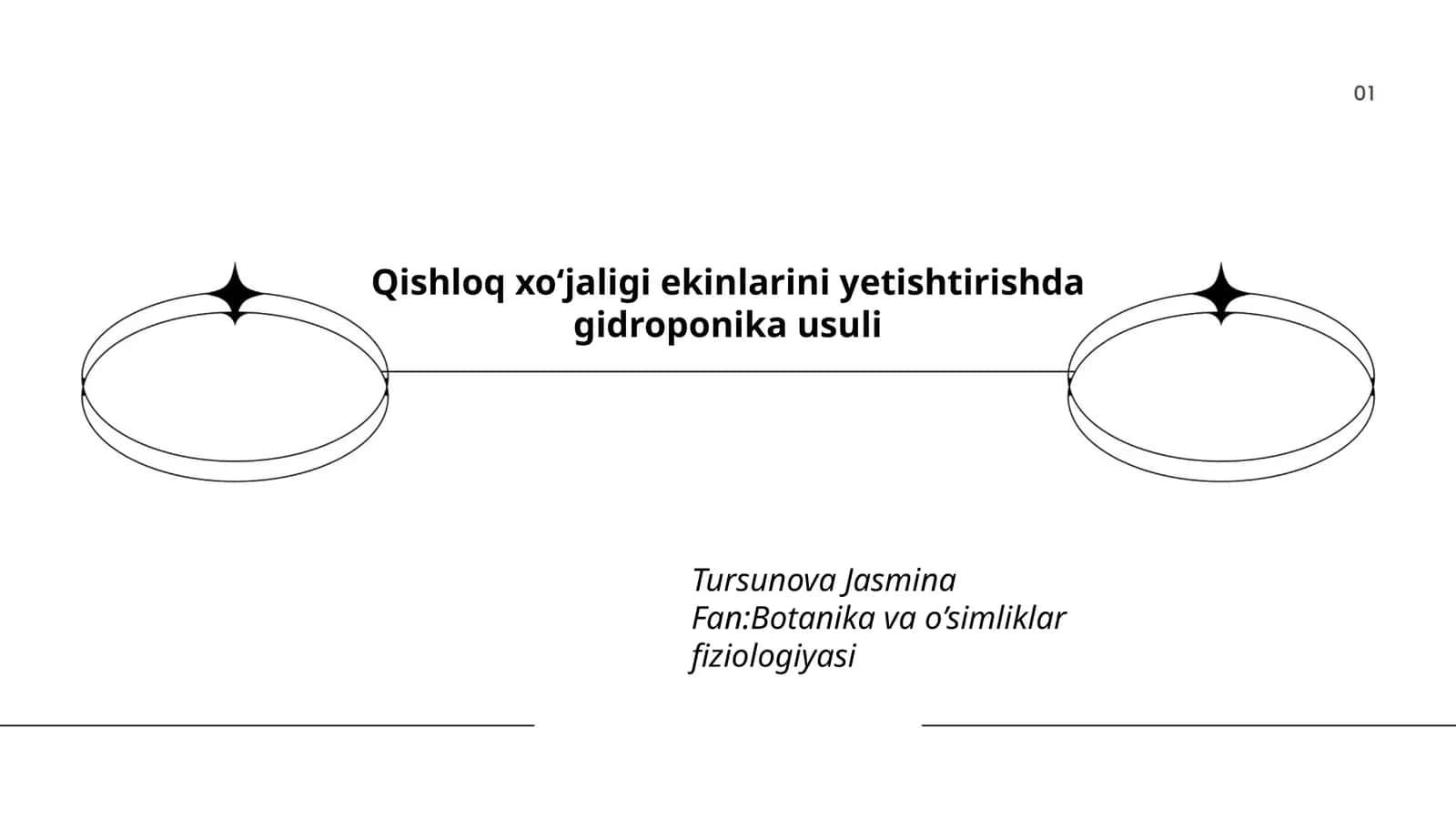 Qishloq xo‘jaligi ekinlarini yetishtirishda gidroponika usuli