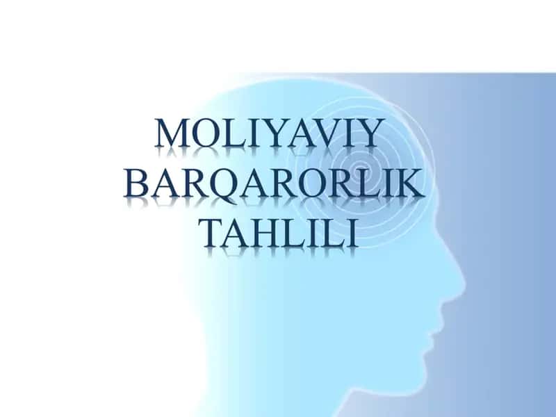 MOLIYAVIY  BARQARORLIK  TAHLILI
