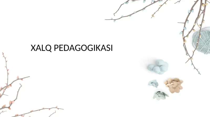 Ta'lim muassasalarida xalq pedagogikasi manbalarining o'rganilishi.