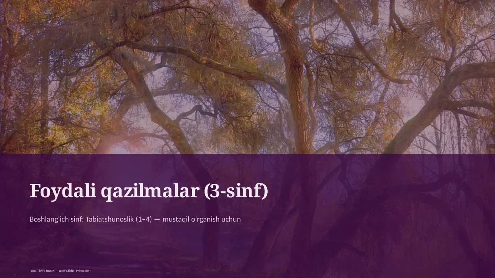 Foydali qazilmalar (3-sinf)
