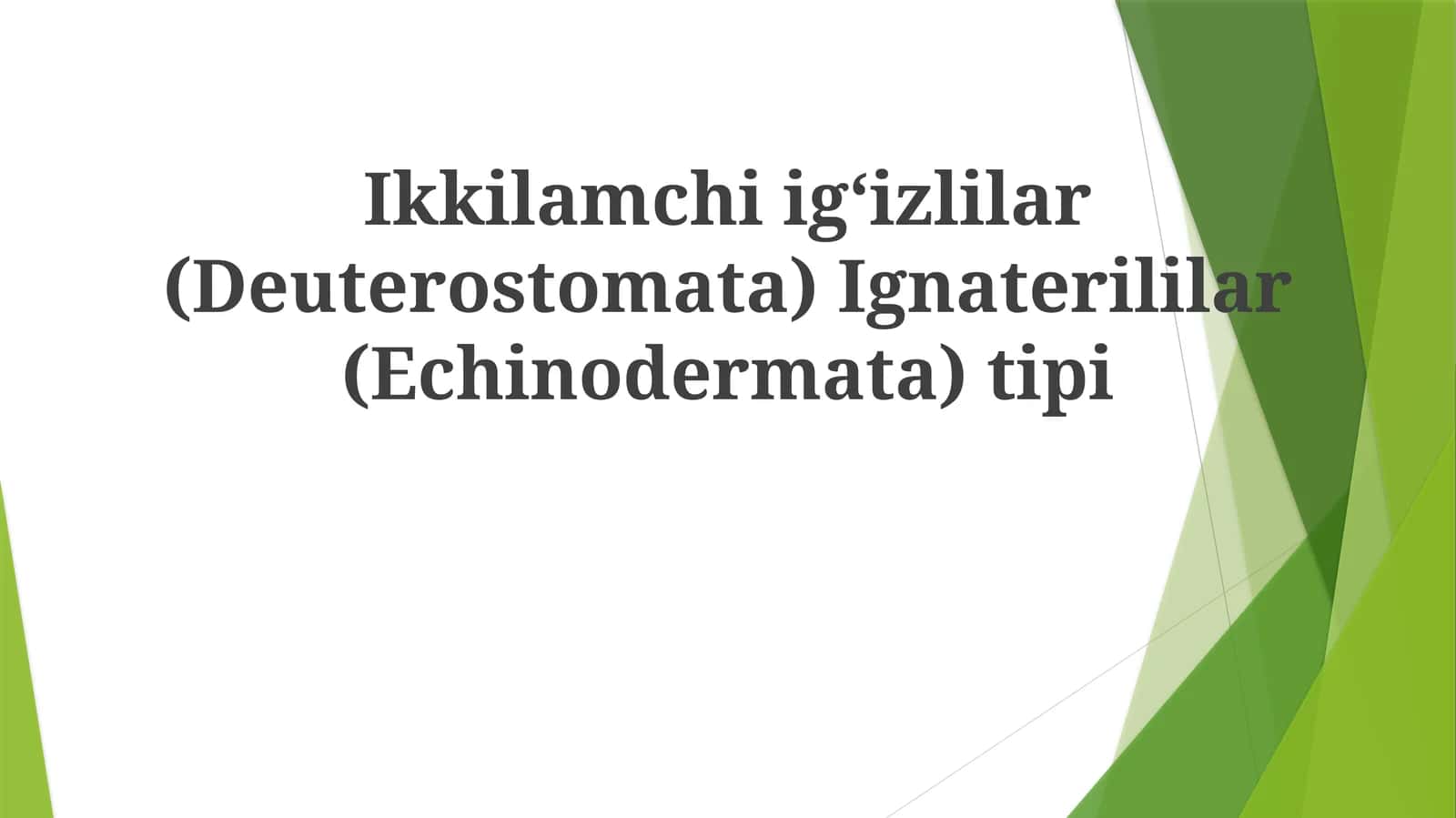 Qum dollarlari (Clypeasteroida tartibi)
