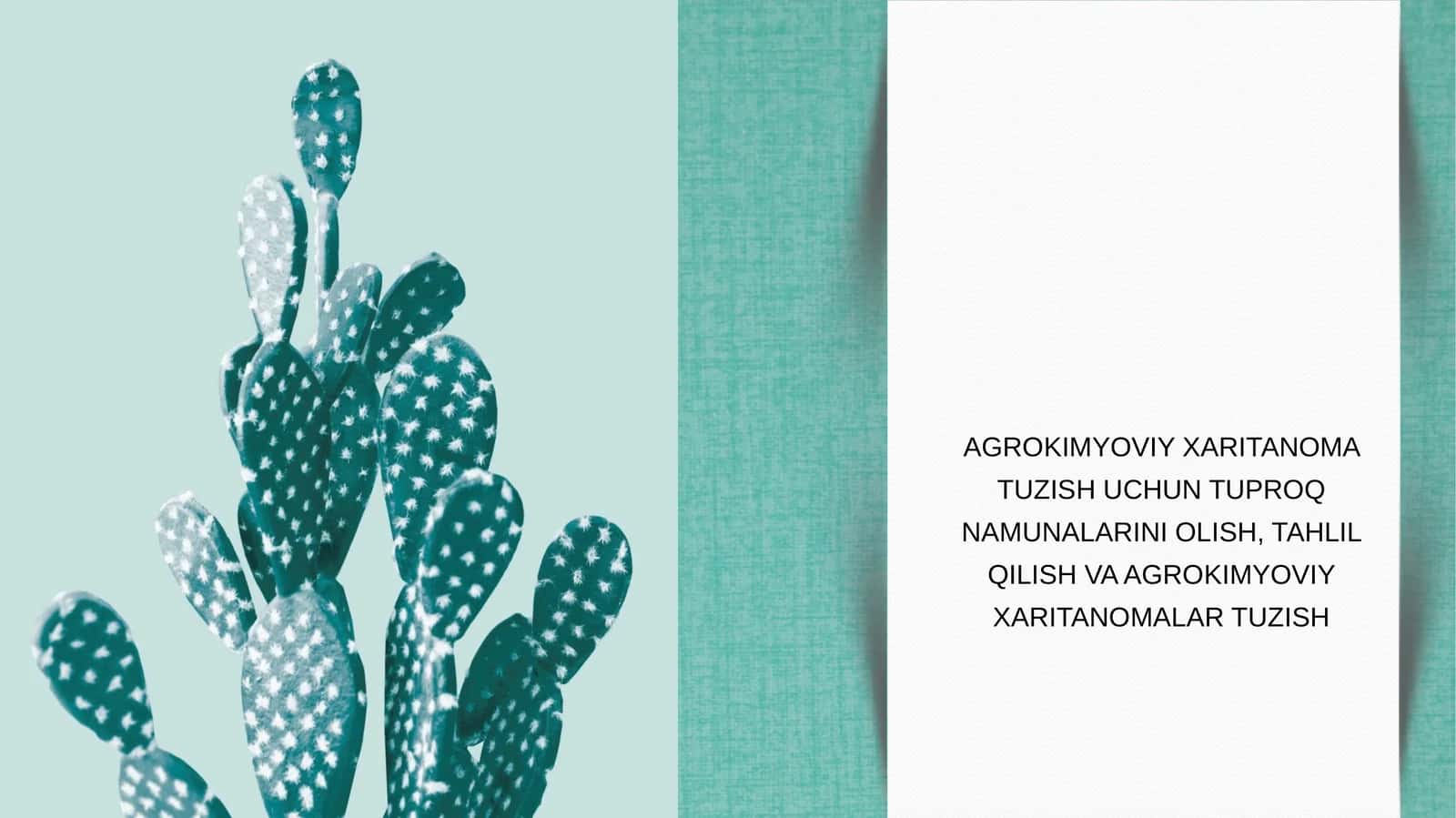 Agrokimyoviy xaritanoma