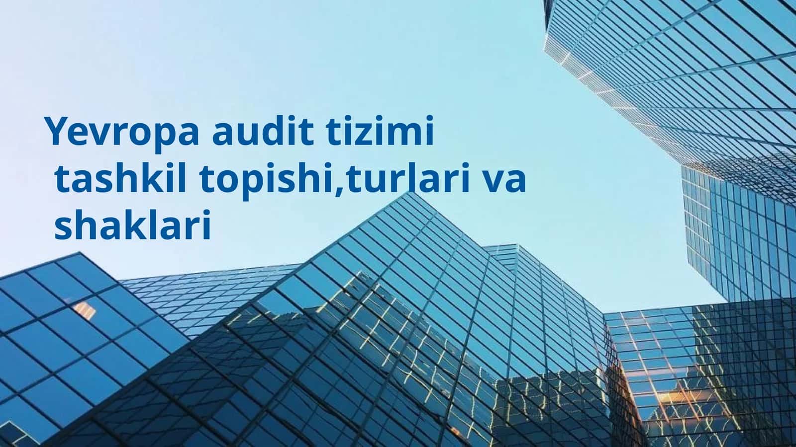 Yevropa audit tizimi tashkil topishi ,turlari va shaklari