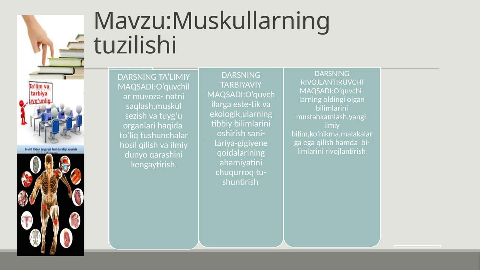 Muskullarning tuzilishi