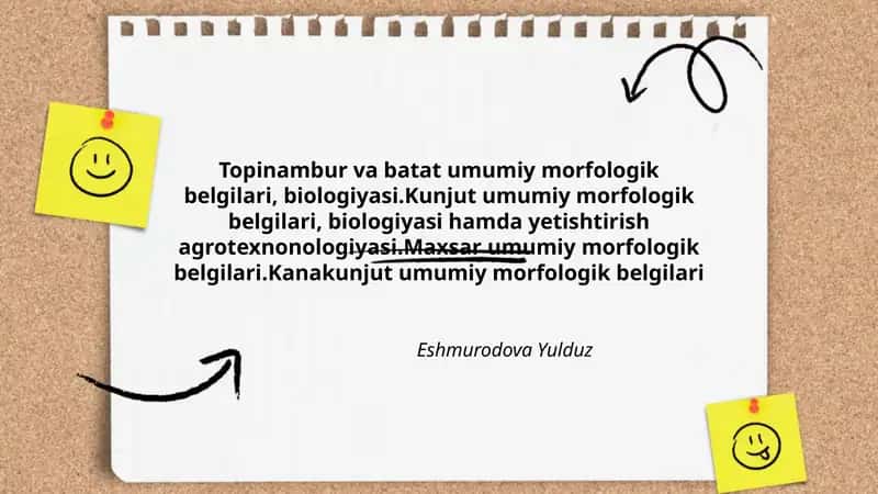Topinambur va batat